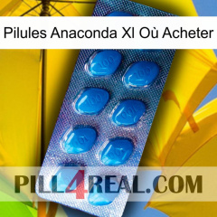 Pilules Anaconda Xl Où Acheter viagra1